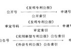 中国专利文献检索工具